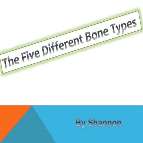 5 bone types