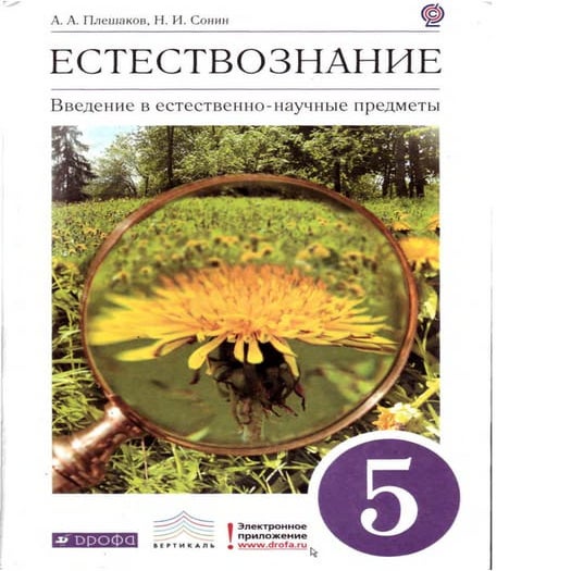 5 b pl | PDF
