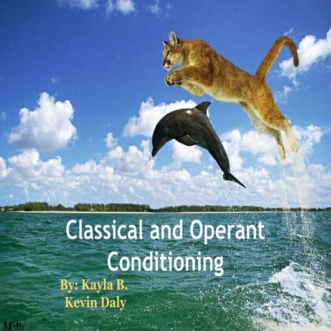 Practical Demos of Conditioning