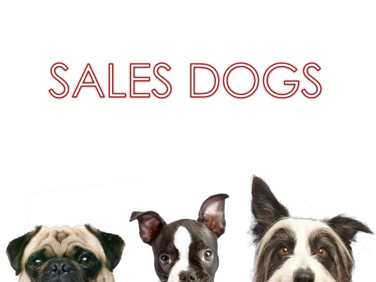 5 breeds of sales dogs