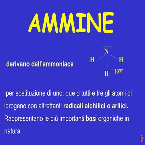 5 c 2007 ammine