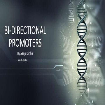 BI-DIRECTIONAL PROMOTERS