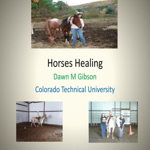 horses healing IP5