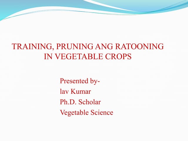 Training, Pruning and Ratooning in veg.crops
