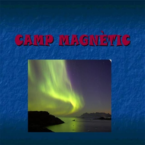 2n BATXILLERAT: CAMP MAGNÈTIC