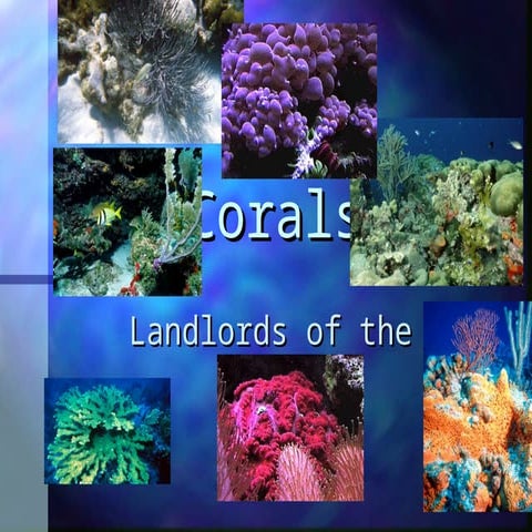 Field-Guide-on-Seagrass sampling methods.pdf