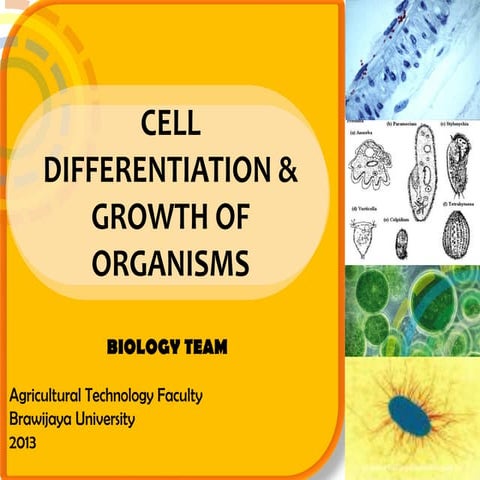 5_Cell-Growth-of-Organisms.pdf