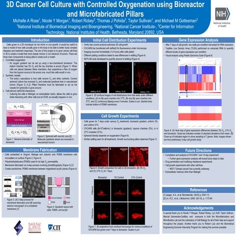 Best Experimental Practices for Live Cell Imaging with the 3D Cell ...