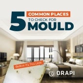 5 Common Places to Check for Mould