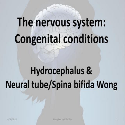 Congenital malformations of the central nervous system | PDF