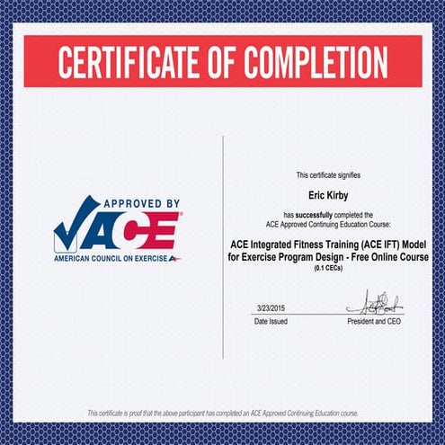 ACE IFT Model | PDF