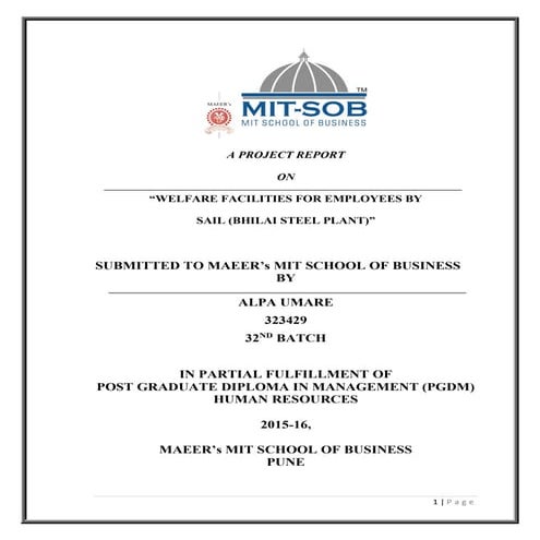 SAIL Report By Alpa Umare