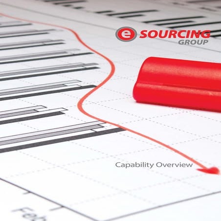 eSG Capability Brochure