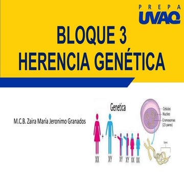 9_BLOQUE_3_HERENCIA_GENETICA.pptx