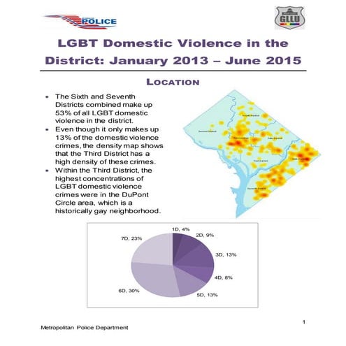 LGBT Domestic Violence Report