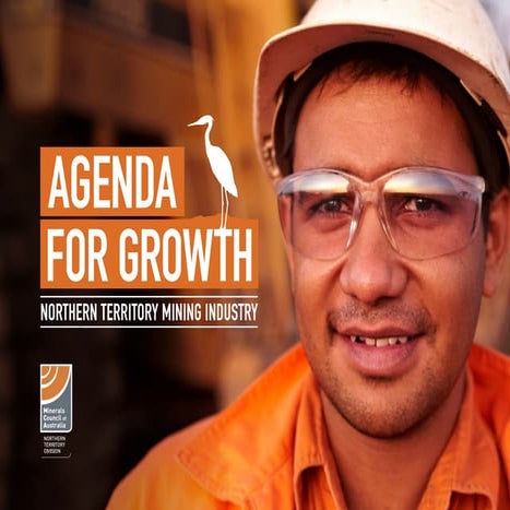 NT Agenda for growth_FINAL