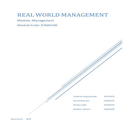 Management assignment 10265499