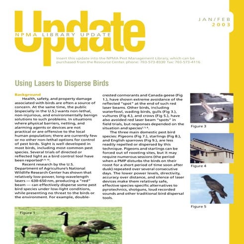 Pest Management for Birds using Laser