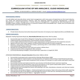 CV - Amilcar Mondlane