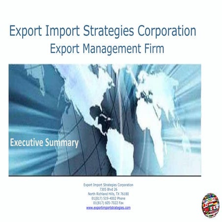 Export Import Strategies Executive Summary