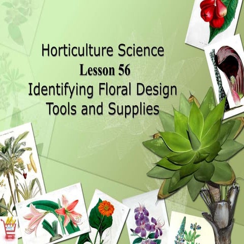 006_FLORAL_TOOLS_.ppt