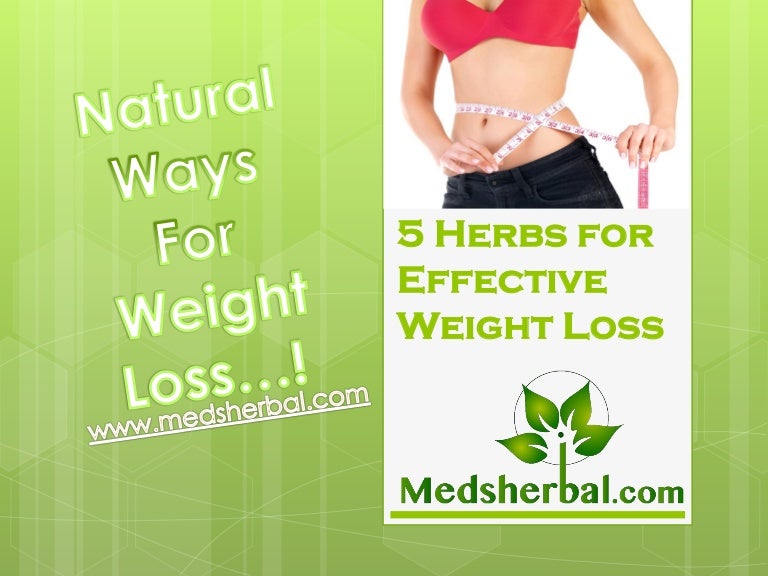 5 effective herbs for weight loss