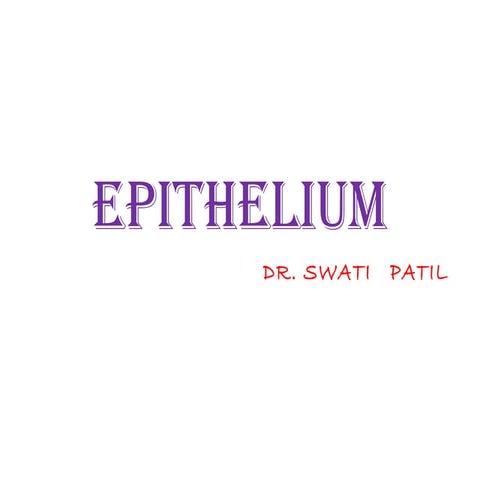 5 epithelium sp