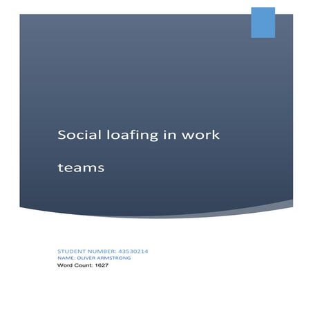 1601_Essay_final_s4353021