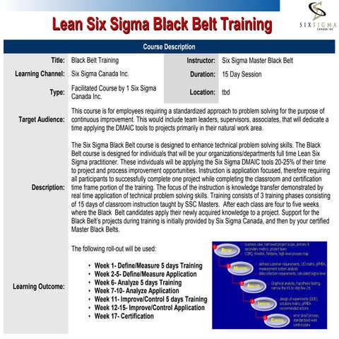 Lean Sigma Black Belt Cert | PDF