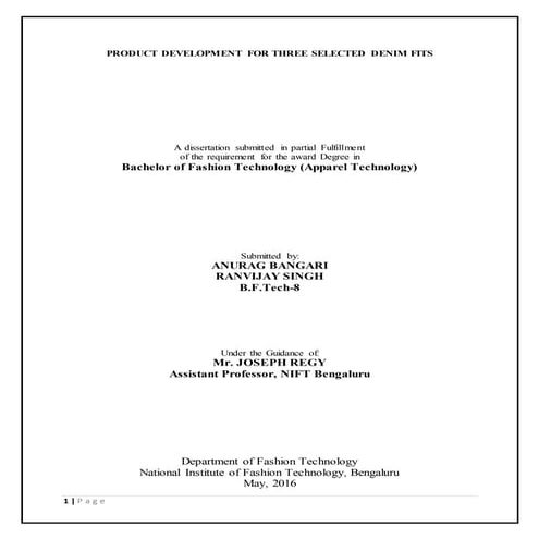 Graduation Project Report 