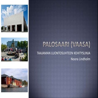 TaajamanLuontosuhteenKehityslinja.P...