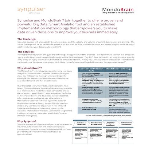 Synpulse - MondoBrain Flyer