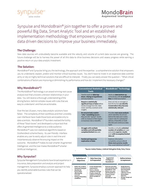 Synpulse - MondoBrain Flyer