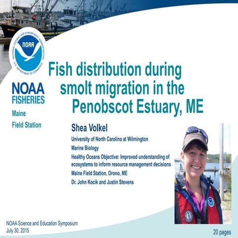 2013 MASTS eposter - coastal salmon agent-based model | PDF