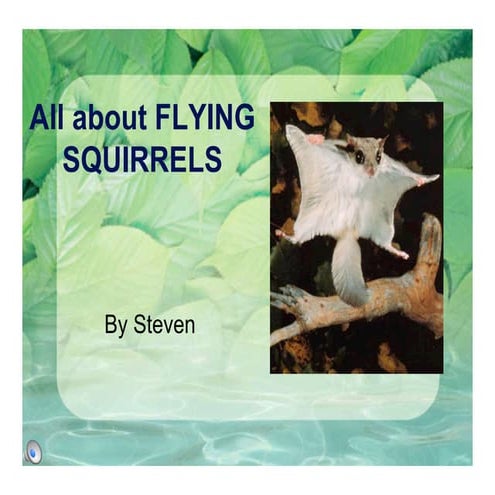 Kayla Burt-Flying squirrels presentation | PPT