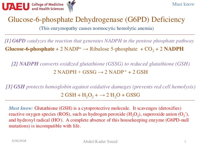 G6PD deficiency.ppt