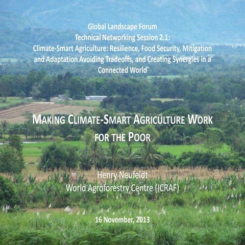 Making Climate-Smart Agriculture Work for the Poor