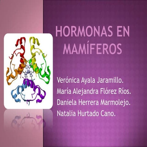 hormonas en mamiferos