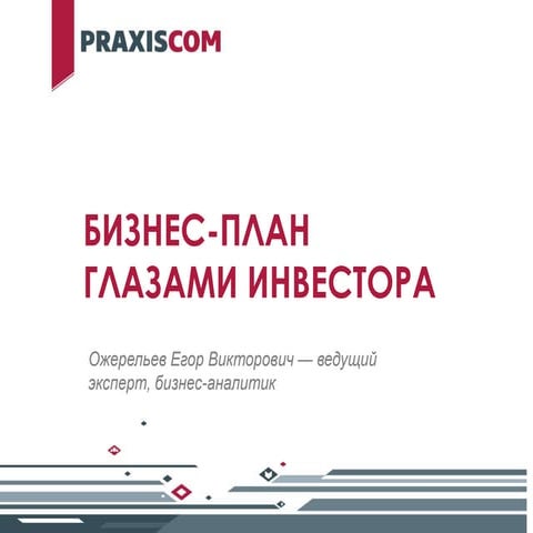 бизнес план глазами инвестора. Архив семинара PraxisCom для МСП