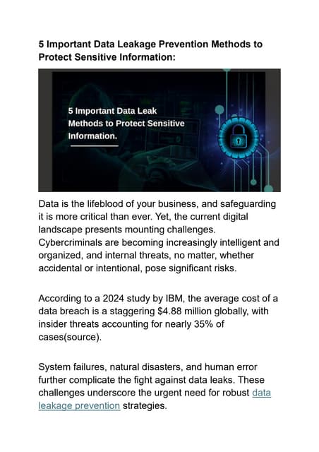 AI and Privacy Concerns Safeguarding Data with Robust Security Measures.pdf