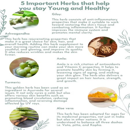 Herbal Toothpaste To Keep Your Oral Hygiene Healthy and Strong.pdf