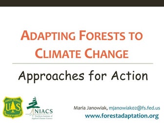 Forest Adaptation