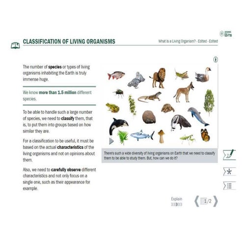 5 Kingdoms live para curso de 4 preparatoria