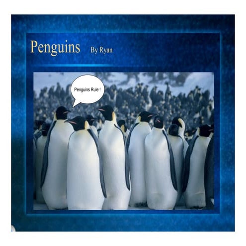 5l Penguins