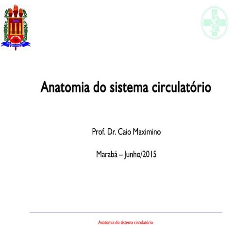 Anatomia do sistema circulatório