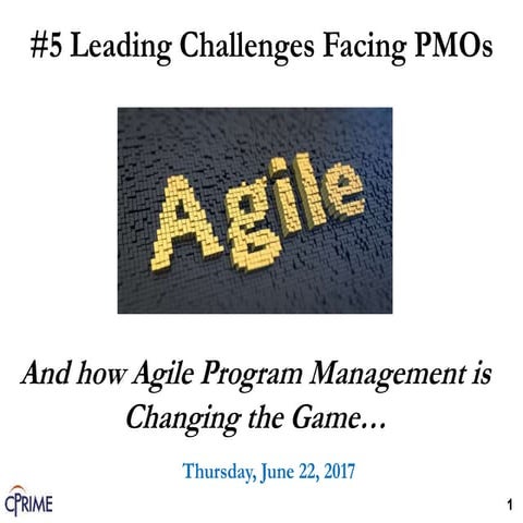 5 Leading Challenges Facing PMOs – And How Agile Program Management Changes t...