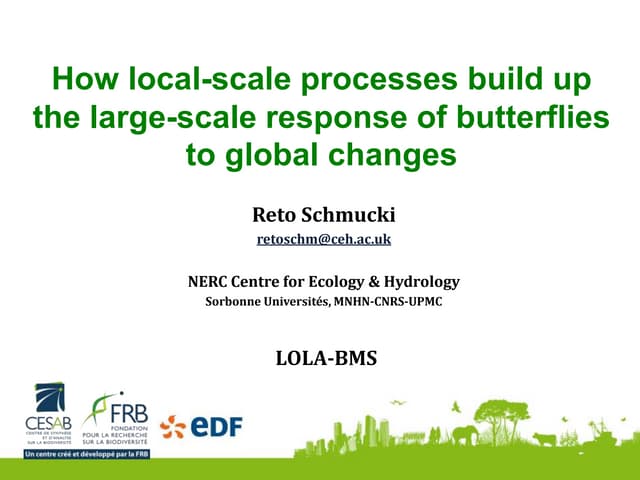 How local-scale processes build up the large-scale response of butterflies to...