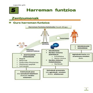 5 maila  6 HARREMAN FUNTZIOA Anaya  