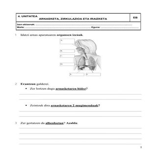 5 maila  ingurune azterketa 4 arnas...