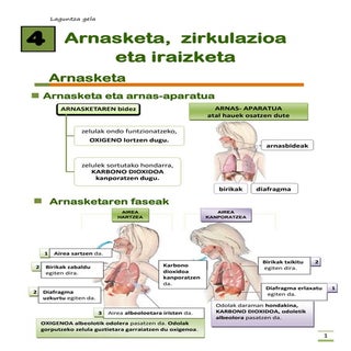 5 maila arnasketa,zirkulazioa , ira...